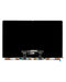 Panel LCD para MacBook Pro 16" (A2141)