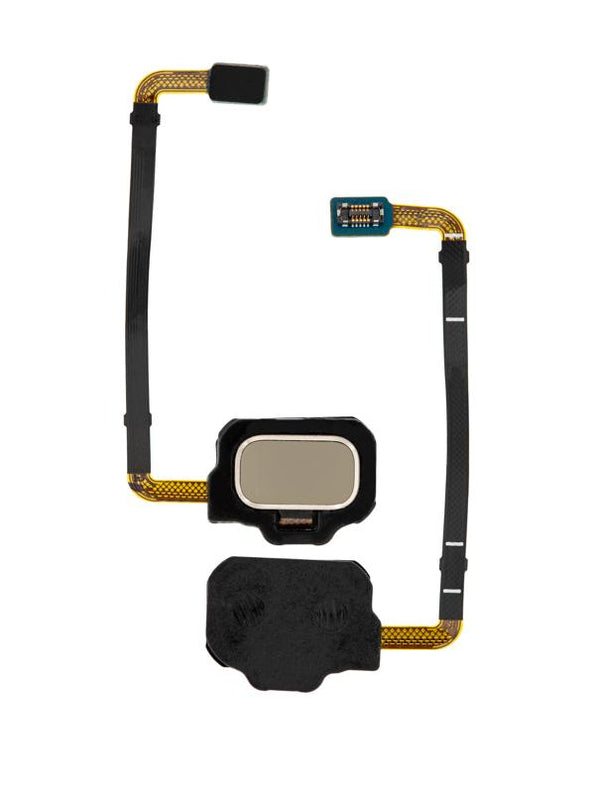 Lector de huellas con cable flex para Samsung Galaxy S8 Active (Dorado Tungsteno)