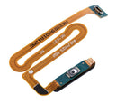 Lector de huellas con cable flex para Samsung Galaxy A12 (A125 / 2020) (Azul)